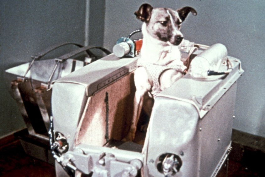 60 AÑOS DESDE EL VIAJE AL ESPACIO DE LAIKA, LA PERRA ASTRONAUTA 60 AÑOS DESDE EL VIAJE AL ESPACIO DE LAIKA, LA PERRA ASTRONAUTA